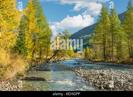 Montagna fiume e alberi in autunno Foto Stock