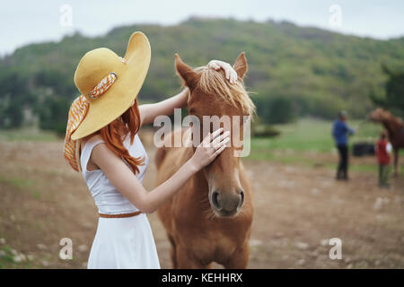 Donna petting cavallo Foto Stock