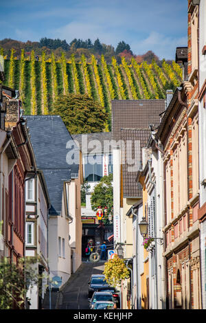 Città vecchia e vigneti di Rüdesheim am Rhein, città vinicola in Germania Foto Stock