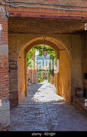 Si inarca sul marciapiede in città Foto Stock