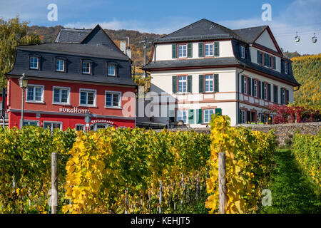 Vigneti autunnali a Rüdesheim am Rhein, città vinicola in Germania Foto Stock