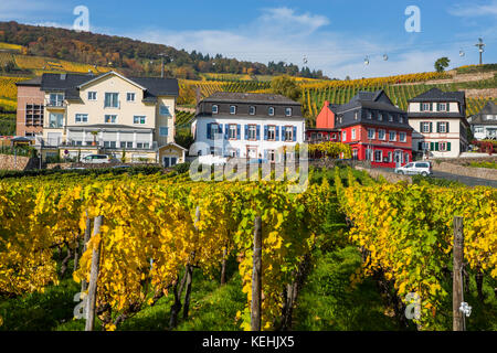 Vigneti autunnali a Rüdesheim am Rhein, città vinicola in Germania Foto Stock