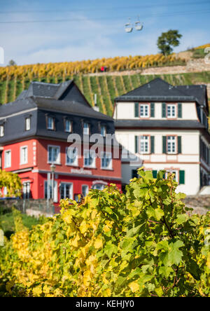 Vigneti autunnali a Rüdesheim am Rhein, città vinicola in Germania Foto Stock