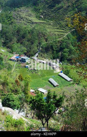 Le abitazioni in modi Khola valley, tra Landruk e Ghandruk, Nepal. Foto Stock