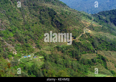 Sentiero spettacolare tra Ghandruk e Tadapani, regione Annapurna, Nepal. Foto Stock