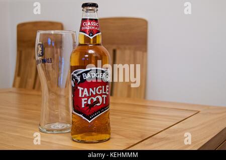 Bottiglia di birra Badger Brewery per i piedi con pinta di vetro sul tavolo Foto Stock