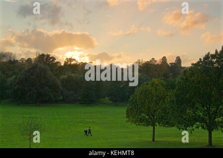 Giovane a piedi attraverso il parco gadebridge al tramonto, hemel hempstead Foto Stock