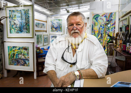 La Seychelles, Mahe, Baie Lazare, Anse aux Poules Bleues, artista Michael Adams MBE nella sua galleria Foto Stock