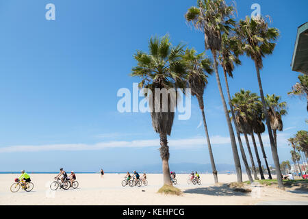 La spiaggia di Venezia, los angeles, California: i ciclisti a cavallo lungo la spiaggia sul passato palme in una giornata di sole. Foto Stock