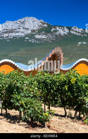 Bodega Ysios cantina architettura futuristica a Laguardia in Rioja-Alavesa zona vitivinicola del Paese Basco, Spagna Foto Stock