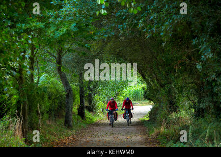 I ciclisti sul Camino de Santiago pellegrinaggio a Santiago de Compostela in Galizia, Spagna Foto Stock