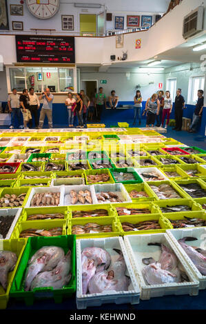 Aste con pesce appena pescato a confradia de isole Pescadores de luarca, confederazione di luarca pescatori, puerto luarca, Spagna Foto Stock