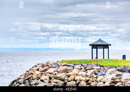 Campo di giallo dei fiori di tarassaco e gazebo dal fiume San Lorenzo a La Malbaie, Quebec, Canada nella regione di Charlevoix Foto Stock