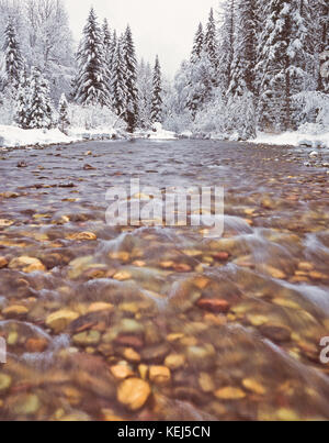 Inverno neve lungo lost creek nella Valle di Swan vicino swan lake, montana Foto Stock