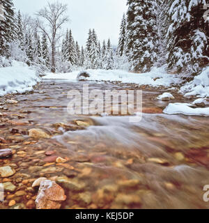 Inverno neve lungo lost creek nella Valle di Swan vicino swan lake, montana Foto Stock