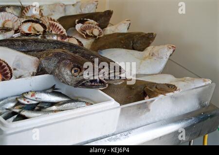 Prodotti in vendita a Riverside Fish, Littlehampton, Regno Unito Foto Stock