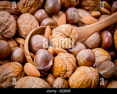 Sfondo con diversi tipi di noci noci kernels ,macadamia,nocciola e mandorla con il cucchiaio di legno. messa a fuoco selettiva la profondità di campo. Foto Stock