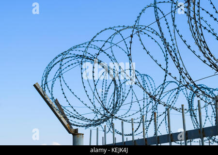 Filo spinato sul recinto. recinzioni protettive appositamente oggetto protetto di filo spinato. timbrato il filo spinato. Foto Stock