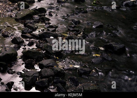 Otturatore lento del fiume attraverso Rouken Glen Park, Glasgow, Scozia. Foto Stock