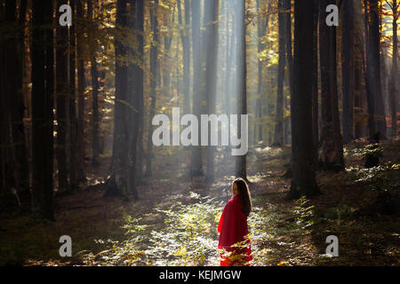 Red Riding Hood ritratto in autunno la foresta di nebbia Foto Stock