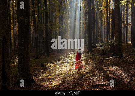 Red Riding Hood ritratto in autunno la foresta di nebbia Foto Stock