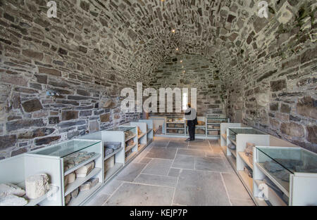 Un display di sculture e incisioni nella casa del Capitolo della Abbazia di Jerpoint,Kilkenny, Irlanda, un medievale Abbazia cistercense, Foto Stock