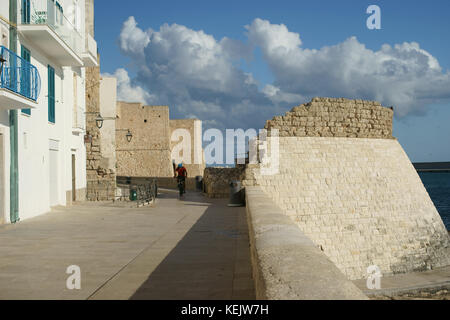 Carlo III il Castello di Monopoli, Puglia, Italia Foto Stock