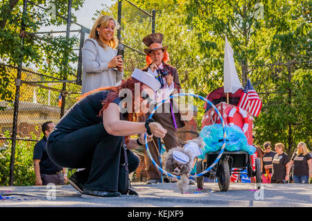 New york, Stati Uniti. Xxi oct, 2017. La ventisettesima edizione tompkins square cane Halloween Parade si è tenuto il 21 ottobre 2017; migliaia di costume canini e gli spettatori hanno marciato su tompkins square park per partecipare al paese più grande halloween sfilata in costume per cani. Credito: erik mcgregor/Pacific press/alamy live news Foto Stock