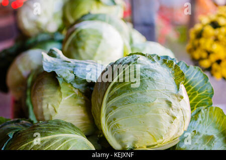 Teste di fresco di cavolo a produrre stand. Foto Stock