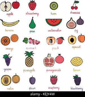 Frutti vari set di vettore. Illustrazione Vettoriale