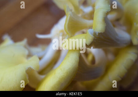 Giallo fresco funghi Oyster su un bambù tagliere, close-up Foto Stock