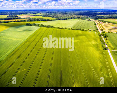 Isola di saarema, Estonia: vista aerea dei campi estivi in parrocchia leisi Foto Stock