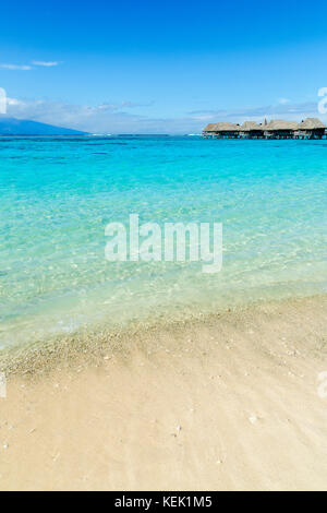 Spiaggia di sabbia con bungalow Overwater in Moorea, Polinesia Francese Foto Stock