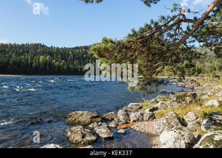 Piccole cascate nascoste nella foresta nella fenditura della roccia Foto Stock