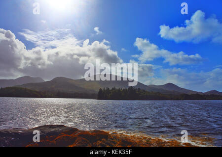 Derreen Gardens, Lauragh, County Kerry, Irlanda - John Gollop Foto Stock