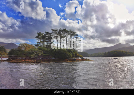 Derreen Gardens, Lauragh, County Kerry, Irlanda - John Gollop Foto Stock