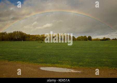 Wakefield. Xxi oct, 2017. Regno Unito Meteo. Pugneys Centro di sport acquatici e Country Park, Denby Dale Road, meteo, 21 ottobre 2017. La gente fuori a godersi il meteo prima di Brian Storm giunge in questo pomeriggio. Credito: Keith J Smith./Alamy Live News Foto Stock