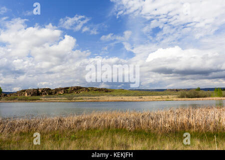 Sponde del lago, un serbatoio in stato di Washington orientale lungo il corridoio coulee Scenic Byway. Parte del grand coulee progetto lungo il fiume Columbia Foto Stock