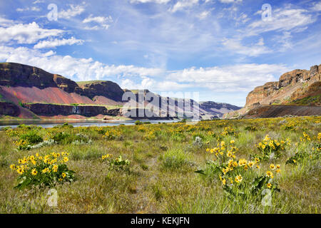 Il lago di lenore, un serbatoio in stato di Washington orientale lungo il corridoio coulee Scenic Byway. Parte del grand coulee progetto lungo le rive di Columbia Foto Stock