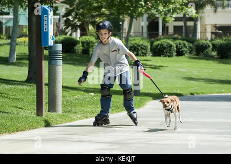 Attività di sano giovane bambino con i rollerblade con piccolo cane che corre al guinzaglio il cane godendo estate vista frontale © Myrleen Pearson Foto Stock