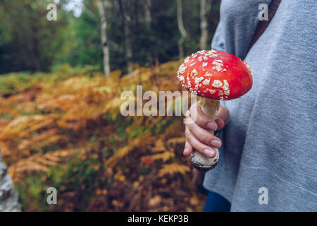 La donna la raccolta di funghi Foto Stock