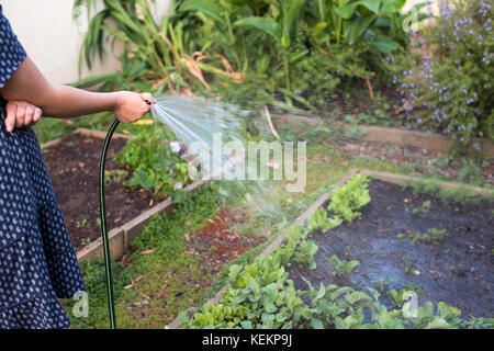 Giardino di irrigazione con un tubo flessibile in Sud Australia Foto Stock