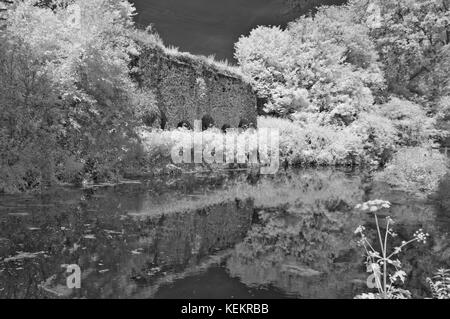 Un viaggio panoramico in estate immagini ad infrarossi cercando lungo la Great Western Canal (Tiverton canal) verso il Waytown Limeklins vicino Whipcott Foto Stock