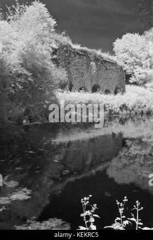 Un viaggio panoramico in estate immagini ad infrarossi cercando lungo la Great Western Canal (Tiverton canal) verso il Waytown Limeklins vicino Whipcott Foto Stock