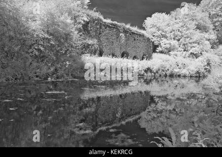 Un viaggio panoramico in estate immagini ad infrarossi cercando lungo la Great Western Canal (Tiverton canal) verso il Waytown Limeklins vicino Whipcott Foto Stock