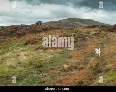 Glenridding dodd in patterdale sopra ullswater, parco nazionale del distretto dei laghi, cumbria, Inghilterra Foto Stock