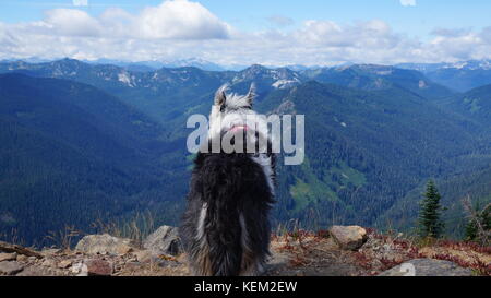 Esplorazione di stato di Washington, il grande Pacific Northwest Foto Stock