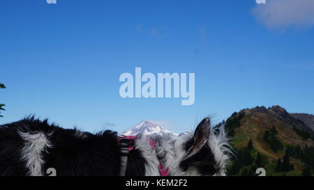 Esplorazione di stato di Washington, il grande Pacific Northwest Foto Stock