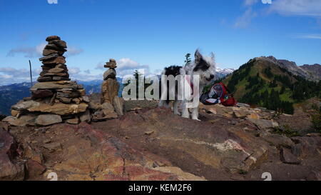 Esplorazione di stato di Washington, il grande Pacific Northwest Foto Stock