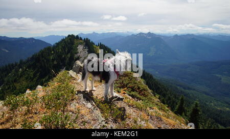 Esplorazione di stato di Washington, il grande Pacific Northwest Foto Stock